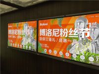 中国建博会(广州)|MAXHUB携众多品牌参展