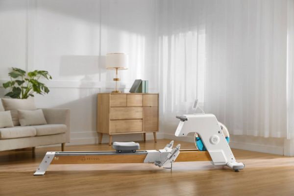 创新科技引领居家健身!YESOUL野小兽智能划船机R15火爆众筹