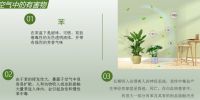 现代都市生活我们呼吸的空气缺乏维生素！