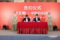 从赛场到市场,安踏、海尔、大王椰等传统品牌如何抓住机遇?