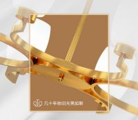 点亮高品味空间,宜美照明金环吊灯助你提升家装格调