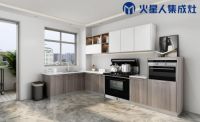 2021年中国集成灶十大公认品牌隆重发布!