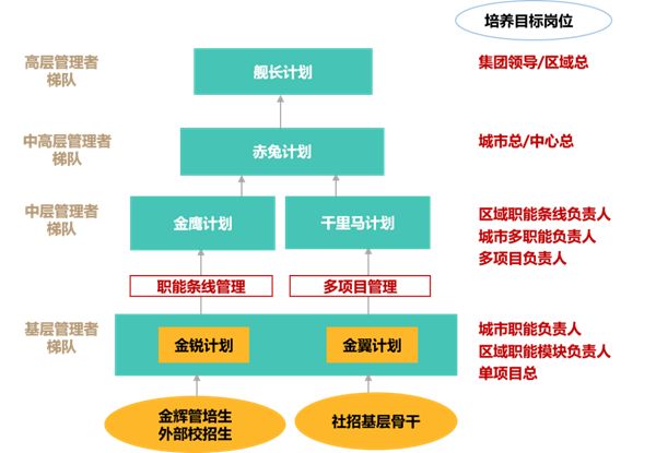 金辉人才培养体系