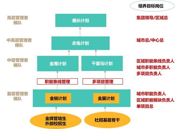 金辉人才培养体系