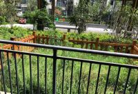 不顾反对，坚持买了带院的一楼，住了快9年鸟语花香为伴，很舒适