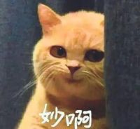 除醛指标多少,婴儿才能入住?你真的知道吗