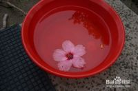 建议!跟风除甲醛也要看清是否适合,别交了智商税还不知道
