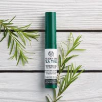 TheBodyShop美体小铺 品牌介绍