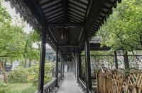 干货！庭院风水做好这点，招财纳福，大旺宅运！