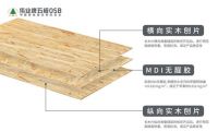 伟业牌五极OSB板：对不起，我们只做精品