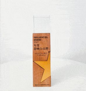 陶卫快讯｜惠达斩获年度影响力品牌大奖