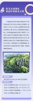 亚士防水助力市政工程建设，为打造幸福宜居城市贡献力量