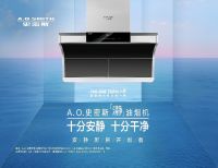 创新突围 A.O.史密斯荣获2021年度创新营销产品奖