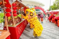 欢乐港湾福“虎”来 虎力全开迎新年