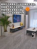 闺蜜教我除甲醛,一个月入住全靠这几招