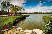 巨变!通州区政策向北三县推广!暂行办法已起草