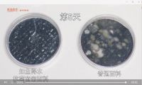 叶一茜惊喜助阵如鱼得水窗帘精品直播间,当晚C位竟然是它?
