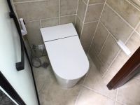 准妈妈的困惑之一:什么样的坐便器更适合孕妇?
