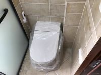 准妈妈的困惑之一:什么样的坐便器更适合孕妇?
