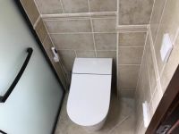 准妈妈的困惑之一:什么样的坐便器更适合孕妇?