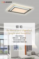 西顿照明产品 | 时尚简约吸顶灯，装点品质家居