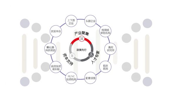 上海生命科学物业租赁需求上升，长期投资机遇看好