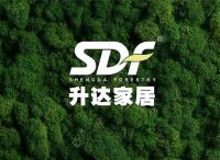 装修必看,小黄5月新品情报