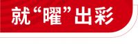亚士【美筑高定】，就“曜”出彩