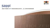从门开始的一体化发展,看霍尔茨如何打开霍然新境