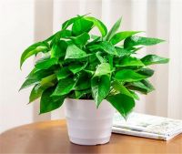 新房装修哪些环保问题容易被忽悠 分享常见的8处认知误区