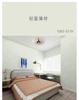 东莞装修半包：治愈系不踩雷的浅色墙漆推