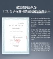 TCL冰洗携手TCL电视,逐鹿家电市场