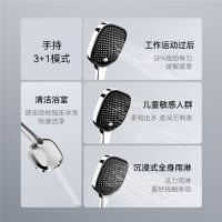 大户型欧式卫浴专享：瑞摩三功能隐逸淋浴花洒