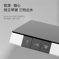 大户型欧式卫浴专享：瑞摩三功能隐逸淋浴花洒