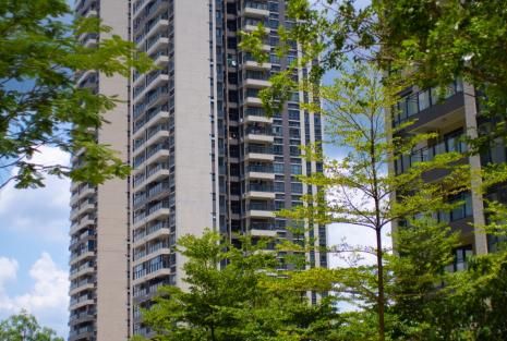 诗意的社区环境（实景图）