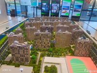 中海·富华里新拍现场图片，实时了解楼盘新动态！