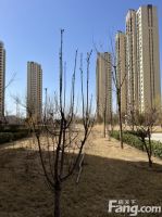 东方丽城怎么样？看置业顾问刘飞发布了一条项目新消息！