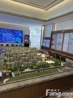 亦庄金悦郡新拍现场图片，实时了解楼盘新动态！