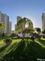 东方丽城好不好？置业顾问从项目现场发回新组图