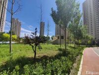 东方丽城好不好？置业顾问从项目现场发回新组图