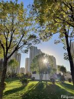 东方丽城好不好？置业顾问从项目现场发回新组图