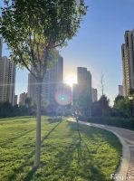 东方丽城好不好？置业顾问从项目现场发回新组图