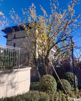 华萃西山好不好？置业顾问从项目现场发回新组图