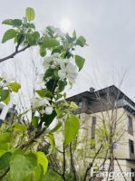 富力首开·金禧璞瑅新拍现场图片，实时了解楼盘新动态！