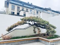 富力首开·金禧璞瑅新拍现场图片，实时了解楼盘新动态！