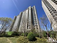 北京德贤华府好不好？置业顾问从项目现场发回新组图