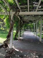 解决北航四区老房改扩建问题路在何方？究竟谁该为此负责？