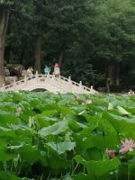 解决北航四区老房改扩建问题路在何方？究竟谁该为此负责？