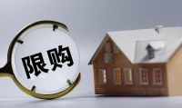 如何堵上楼市5万亿的窟窿？专家孟晓苏：取消限购即可激活楼市
