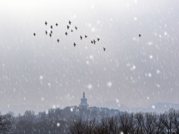 北京门头沟13项在施工程全面复工